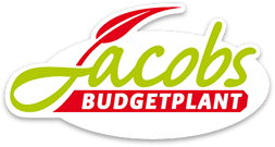 Budgetplant